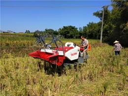 第一枪 产品库 行业专用设备 农业机械 耕地整地机械 旋耕机 小型水稻